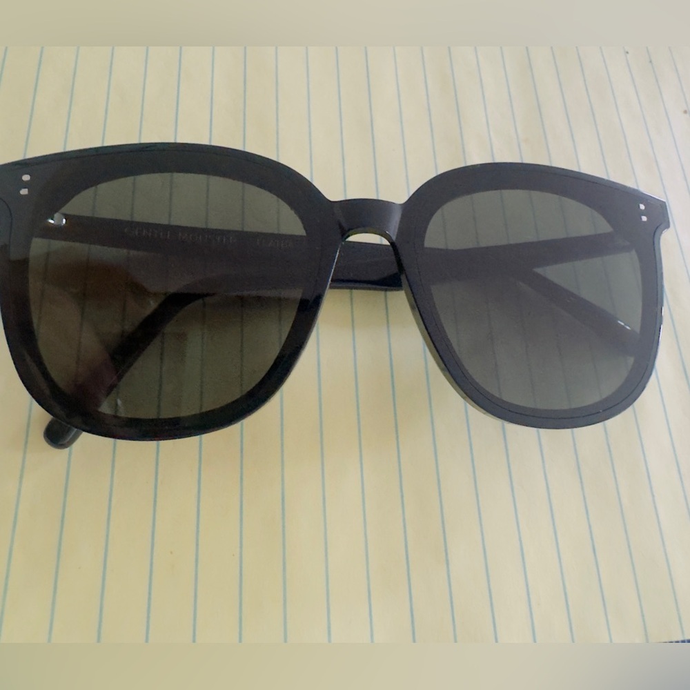 Gentle Monster Classic Black Shades flatba